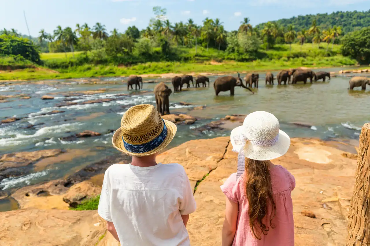 נוף בסרי לנקה לתכנון טיול פרטי עם Elephant Tours